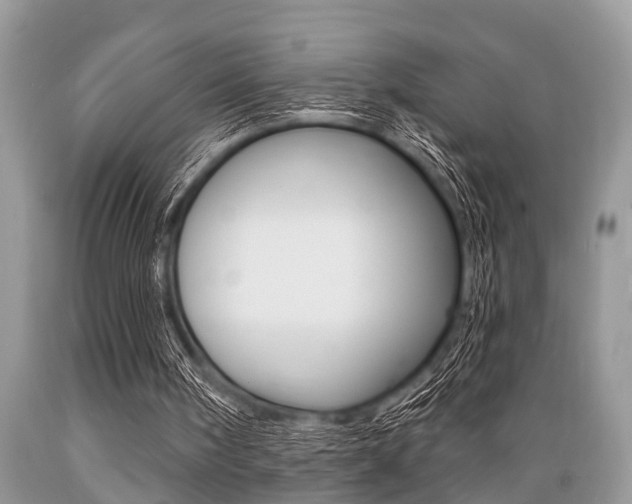X0000089660098200706210739