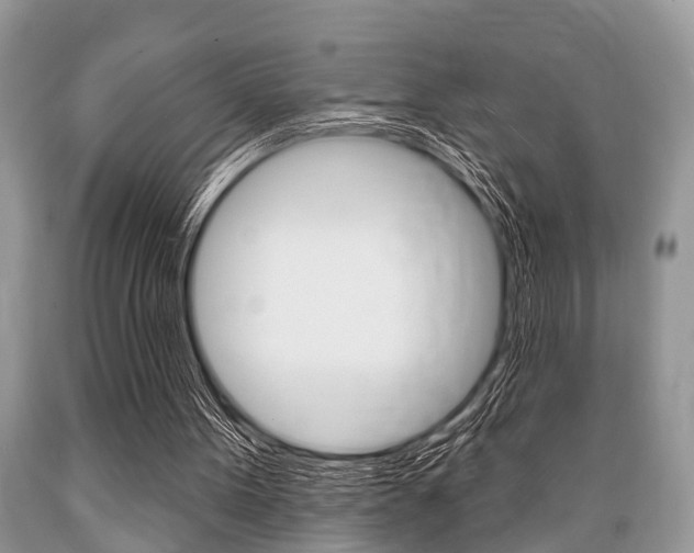 X0000089660099200706210739