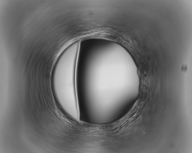X0000089660100200706210739
