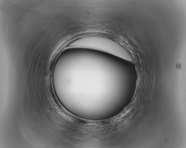 X0000089660101200706210739