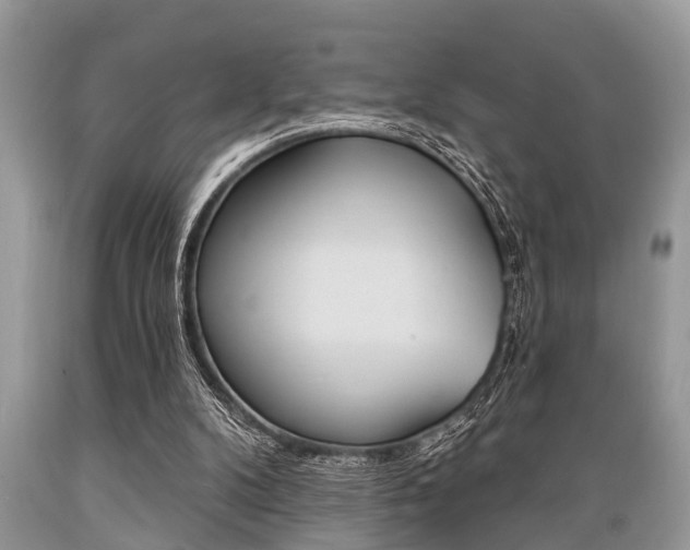X0000089660104200706210739