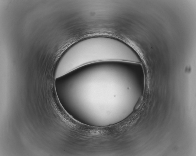 X0000089660105200706210739
