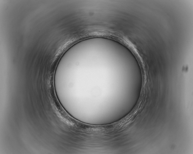 X0000089660106200706210739