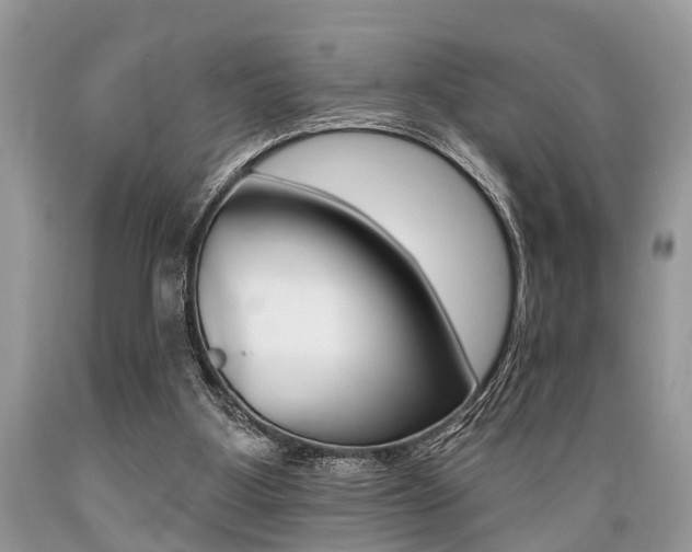 X0000089660107200706210739