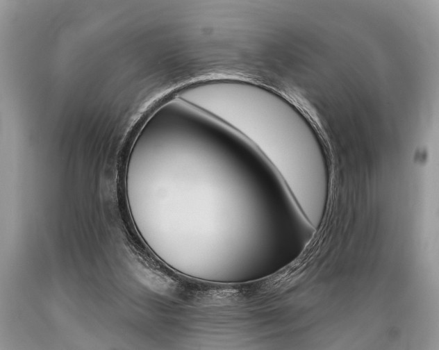 X0000089660108200706210739