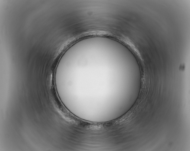 X0000089660110200706210739