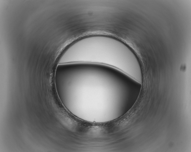 X0000089660111200706210739