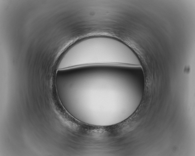 X0000089660112200706210739