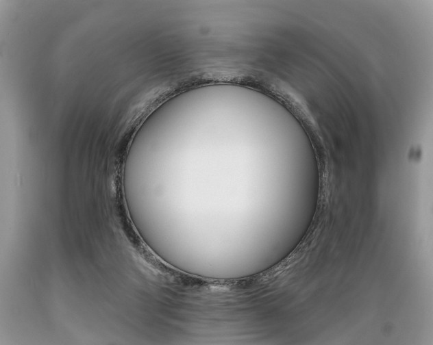 X0000089660114200706210739