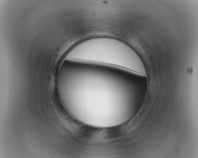 X0000089660116200706210739