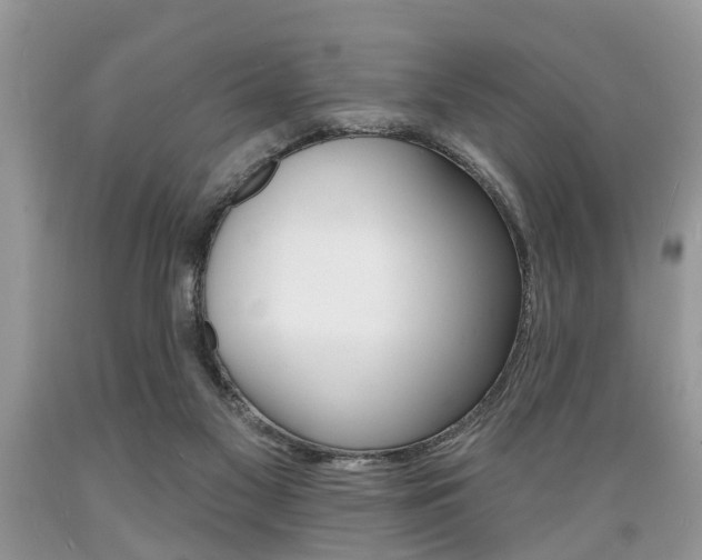 X0000089660117200706210739