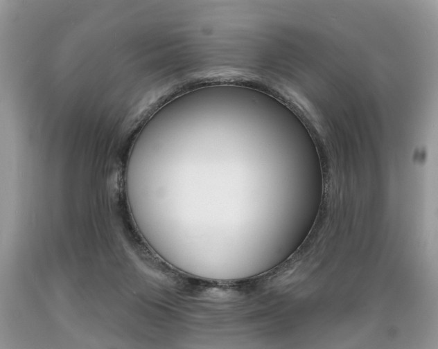 X0000089660119200706210739