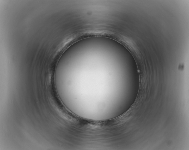 X0000089660120200706210739