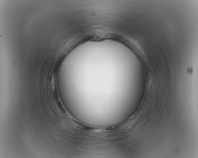 X0000089660121200706210739