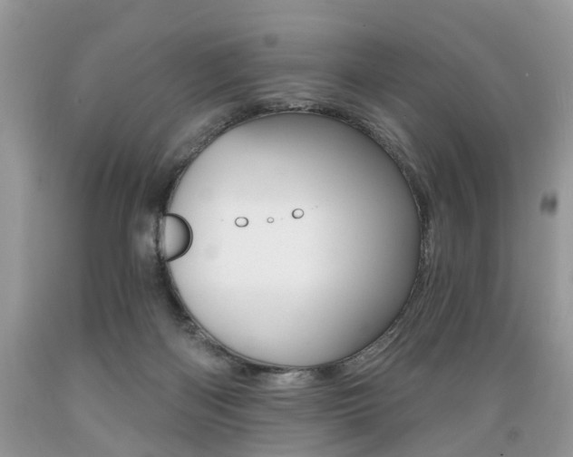 X0000089660122200706210739