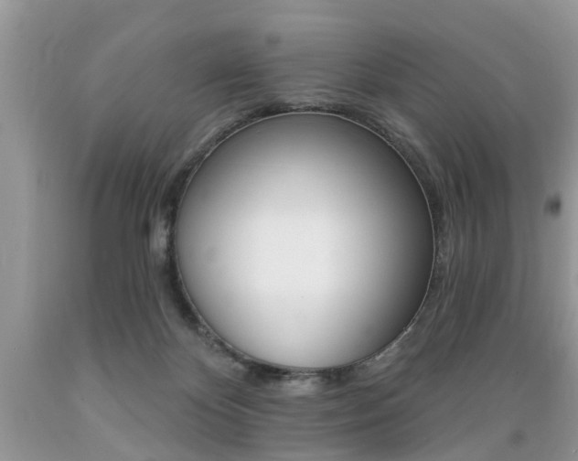 X0000089660124200706210739