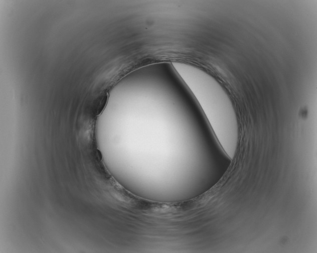 X0000089660125200706210739