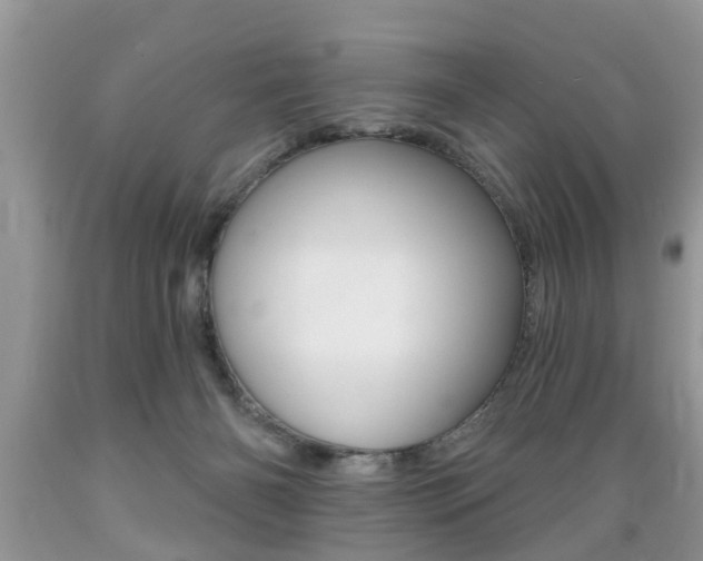 X0000089660126200706210739