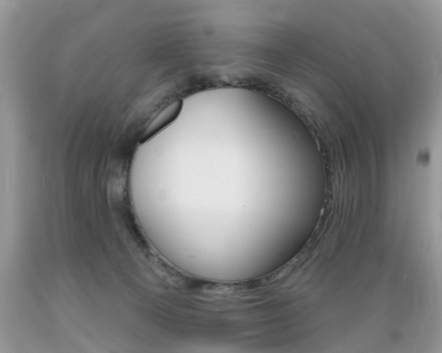X0000089660129200706210739