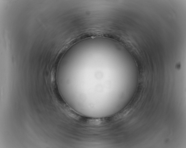 X0000089660131200706210739