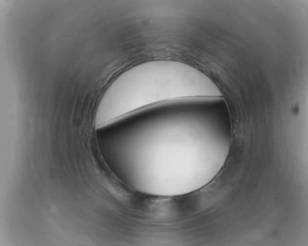 X0000089660132200706210739
