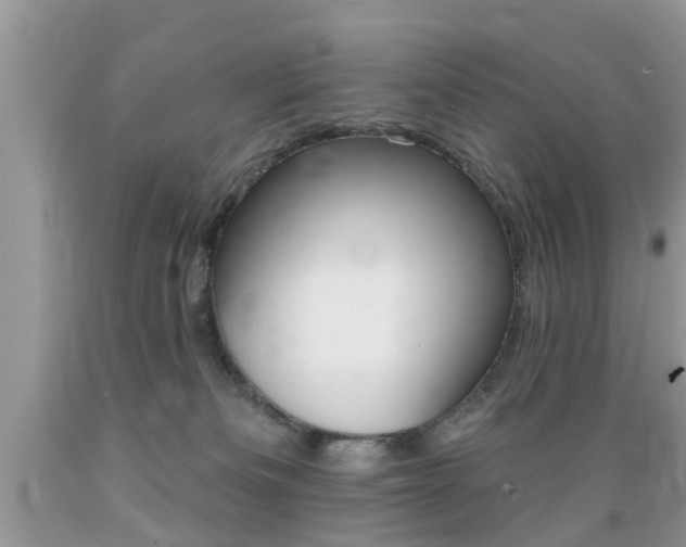 X0000089660133200706210739