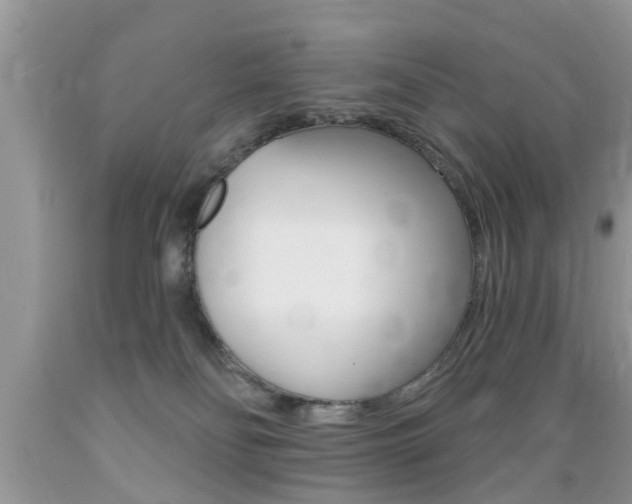 X0000089660134200706210739