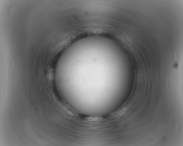 X0000089660135200706210739
