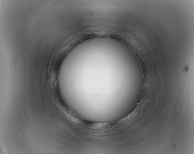 X0000089660136200706210739