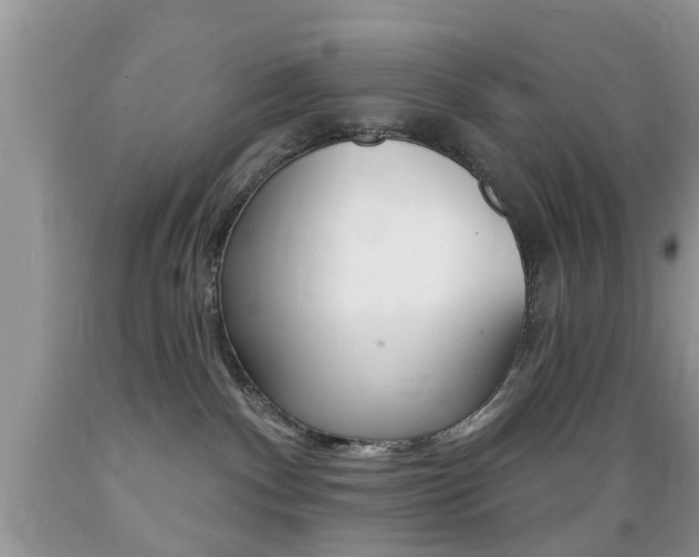 X0000089660140200706210738