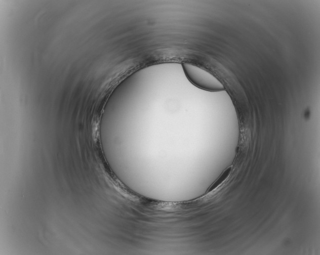 X0000089660142200706210738