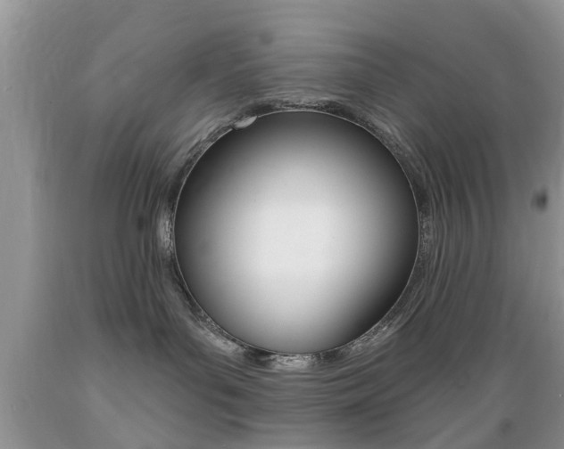 X0000089660143200706210738