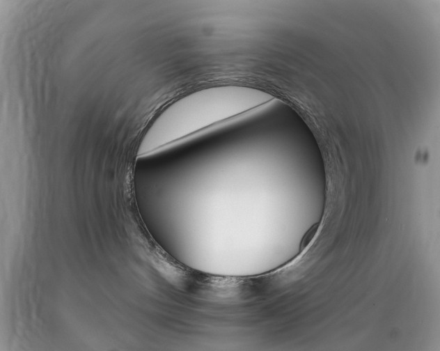X0000089660144200706210738