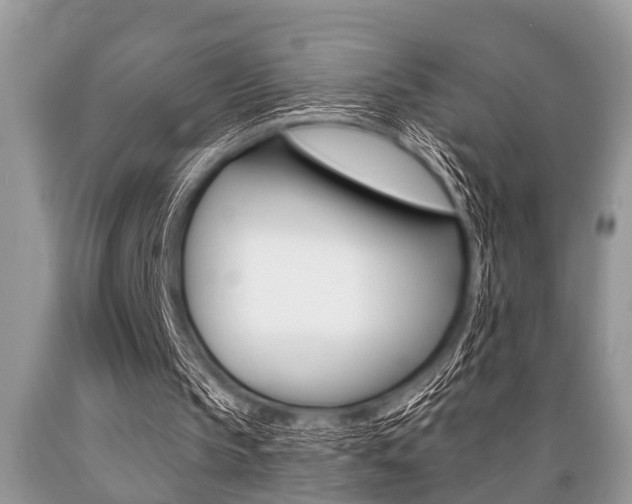 X0000089660145200706210738