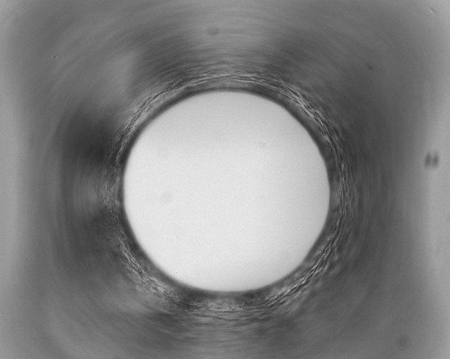 X0000089660146200706210738