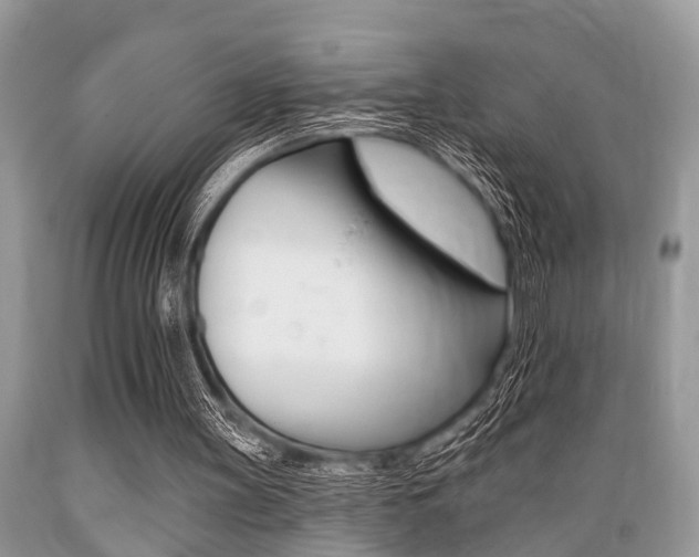 X0000089660147200706210738