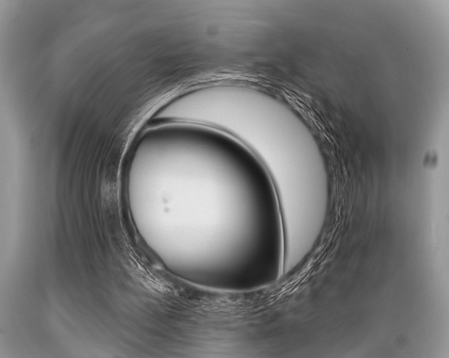 X0000089660148200706210738