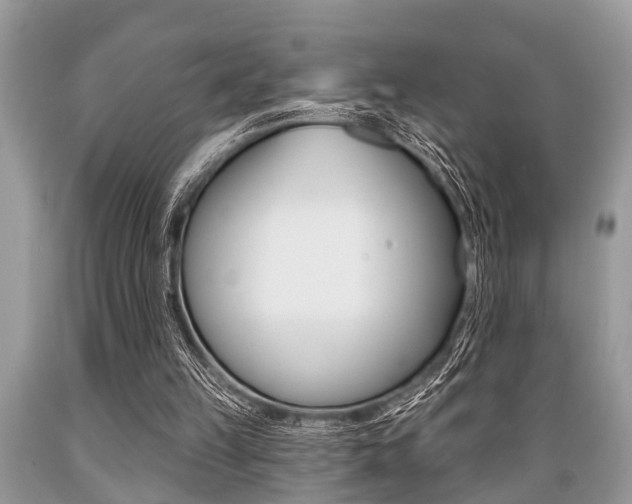 X0000089660149200706210738