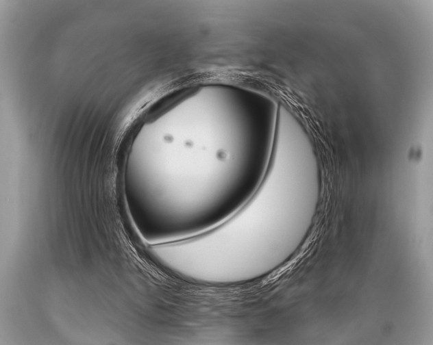 X0000089660150200706210738