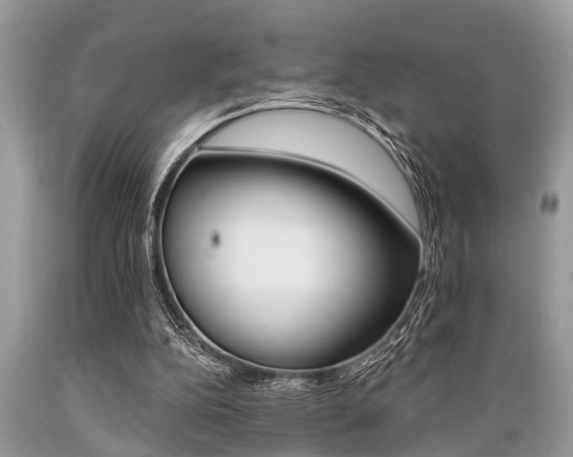 X0000089660152200706210738