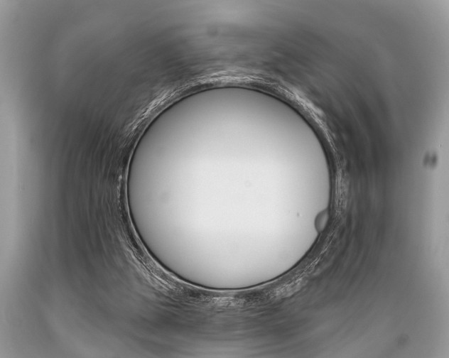 X0000089660153200706210738
