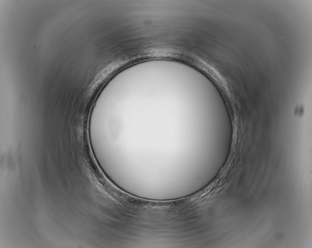 X0000089660155200706210738