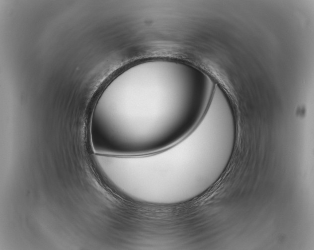 X0000089660156200706210738
