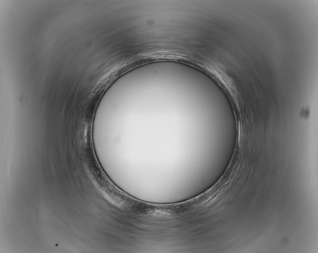 X0000089660157200706210738