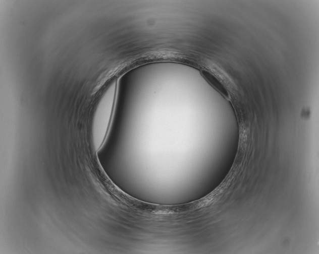 X0000089660158200706210738