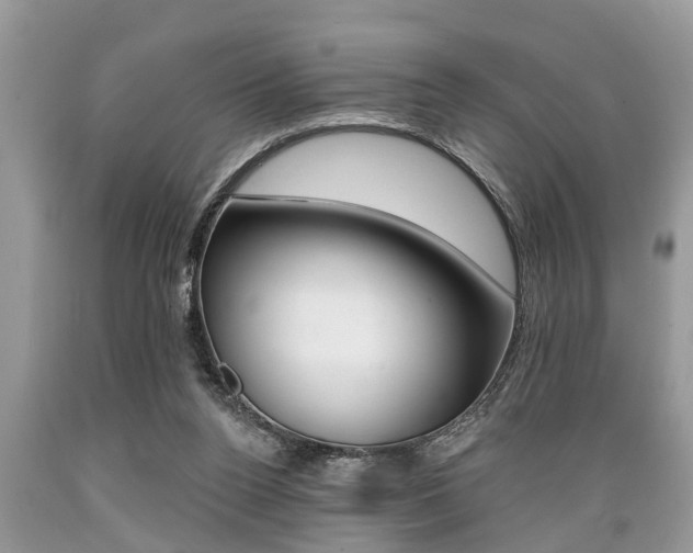 X0000089660160200706210738