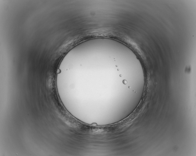 X0000089660161200706210738