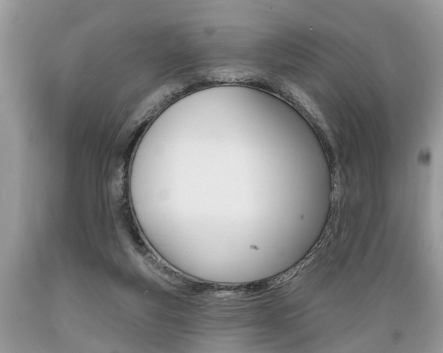 X0000089660163200706210738