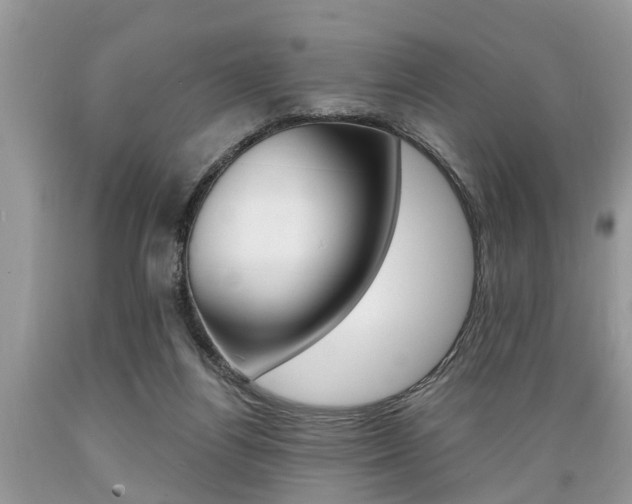 X0000089660164200706210738