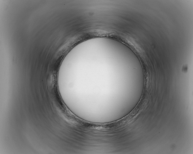 X0000089660165200706210738
